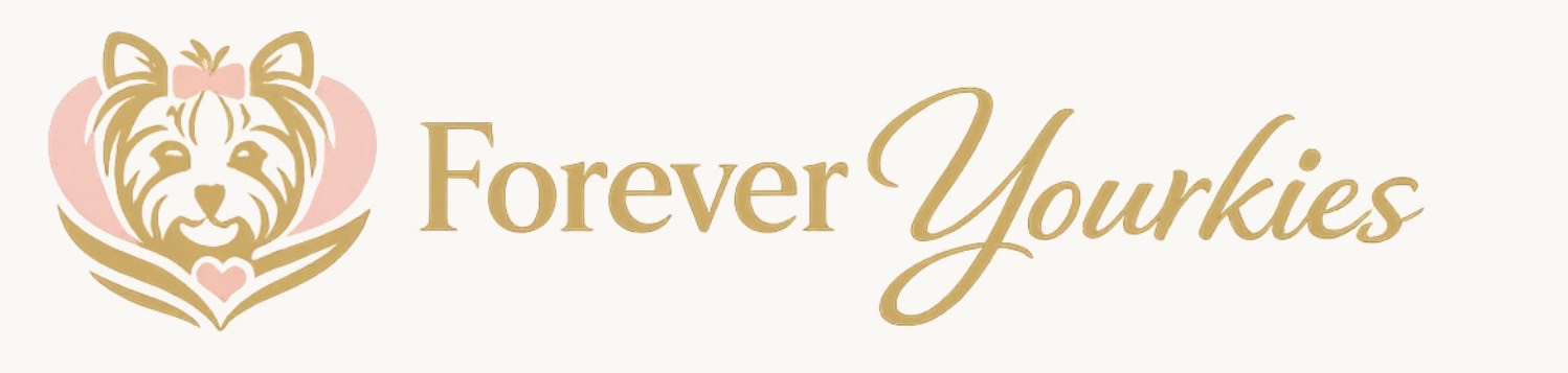 Forever Yourkies